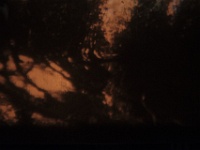 ZUR instantane angers -96934